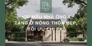 +20 mẫu nhà ống 1 tầng ở nông thôn đẹp, tối ưu chi phí